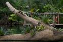 Burgers Zoo 087